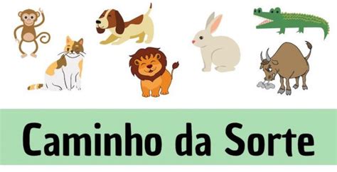 bicho da sorte|caminho da sorte.